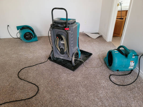 Best Fire Damage Restoration  in Welch, WV