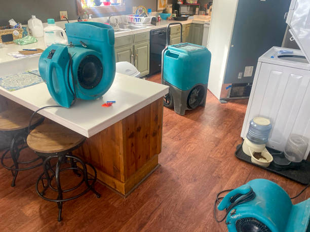 Best 24/7 water damage repair  in Welch, WV