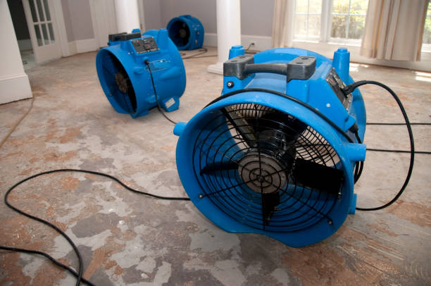 Best Water damage contractors near me  in Welch, WV