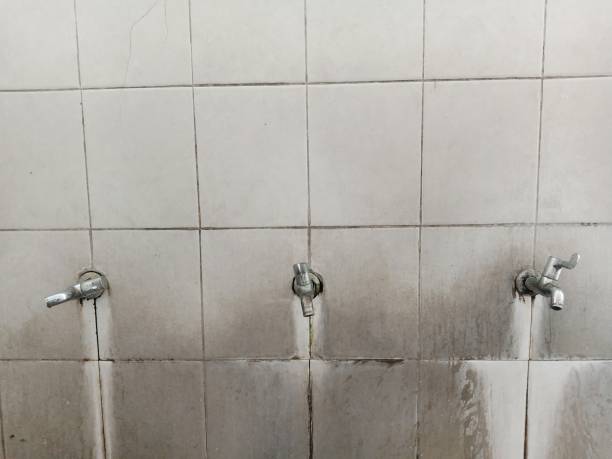 Best 24/7 water damage repair  in Welch, WV