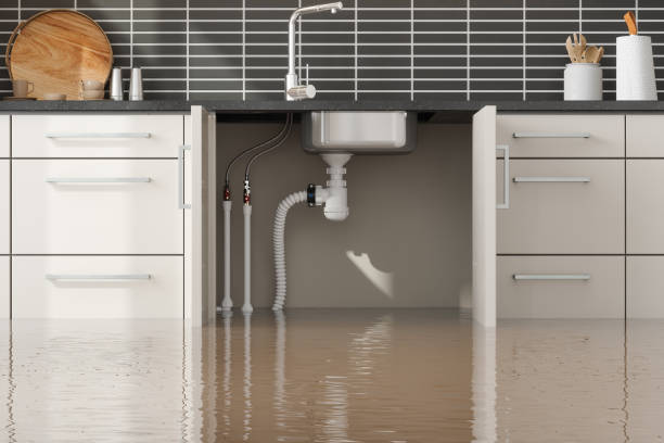  Welch, WV Water damage restoration Pros