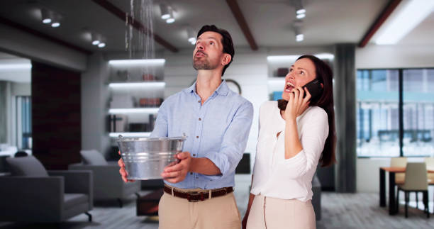 Best Sewage cleanup and water damage restoration  in Welch, WV