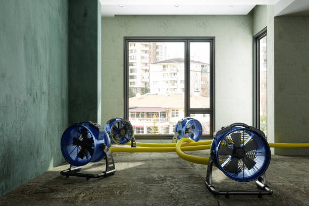 Best Water damage restoration near me  in Welch, WV