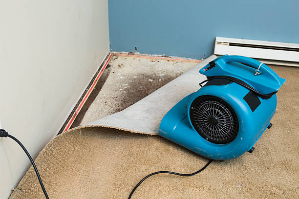 Best 24-hour water damage restoration  in Welch, WV